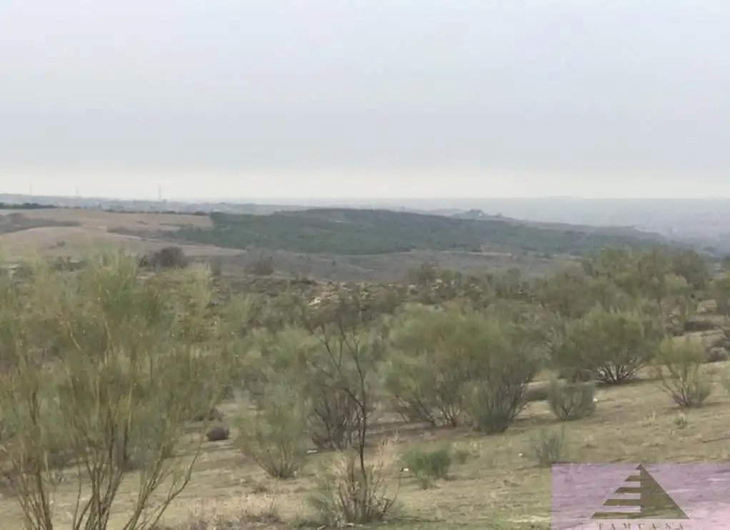 Terreni e lotti in vendita a Atajadizo de Ucenda S/N, imagen 17