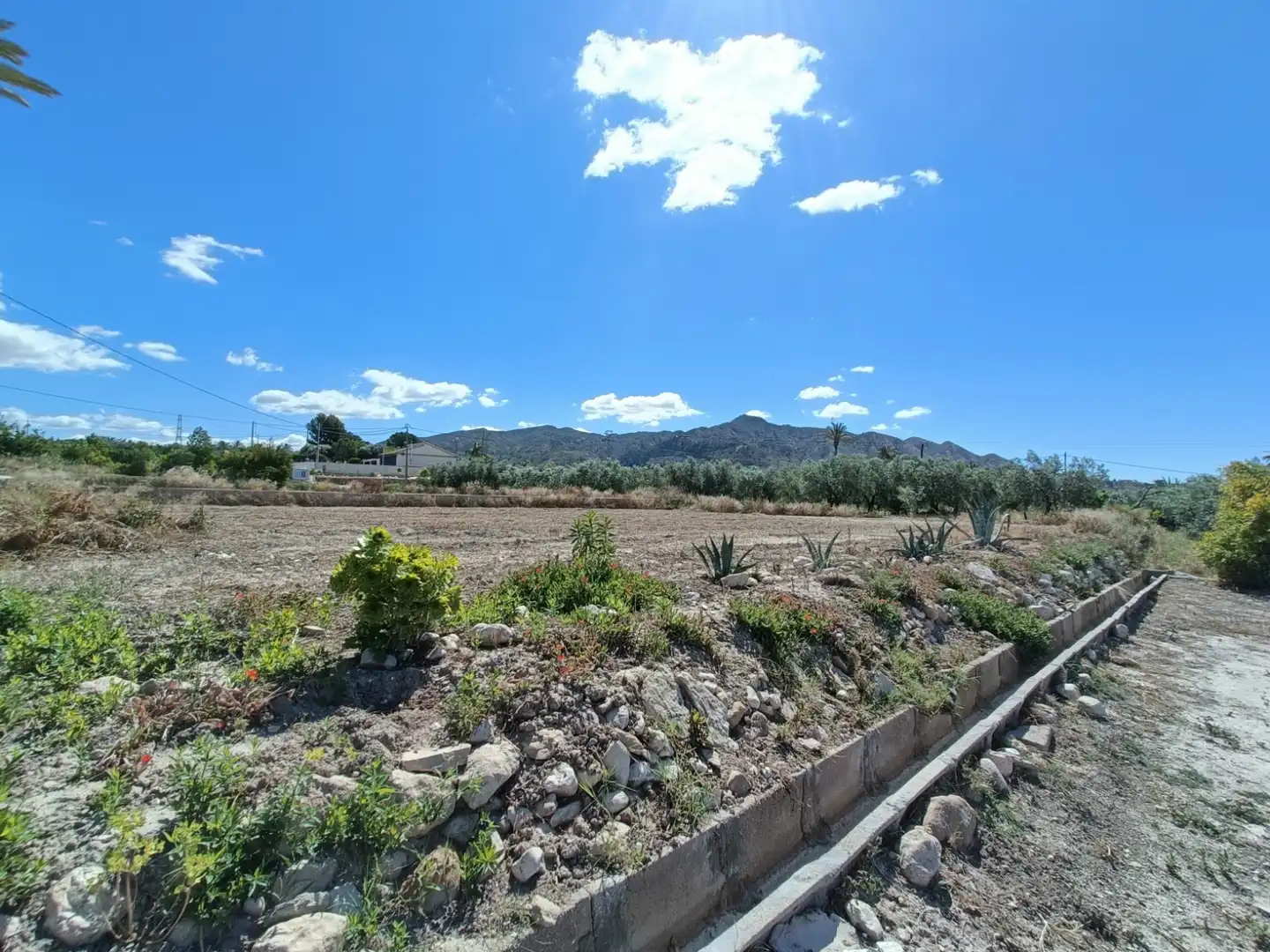 Xalet en venda a Abanilla, imagen 34