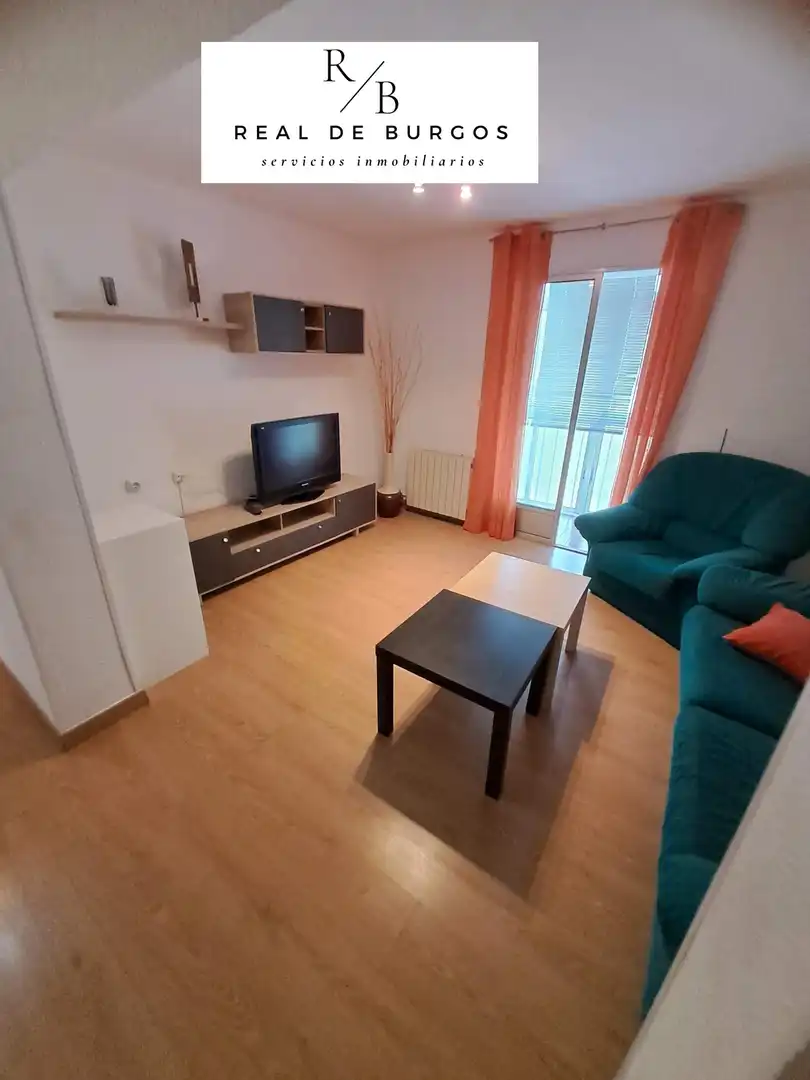 Living room of Flat for rent in Valladolid  with Heating, Terrace and Furnished