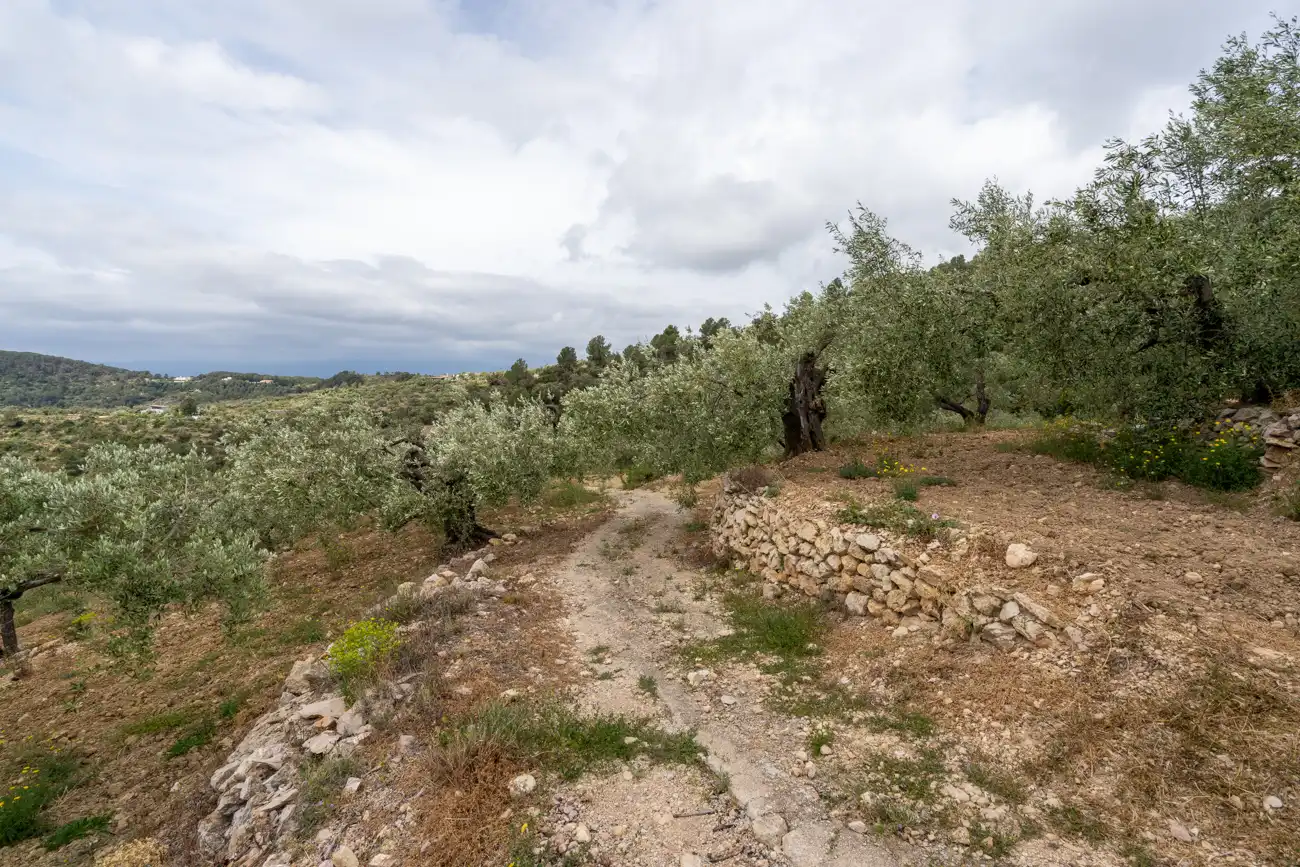 Terreno en venta en Tortosa