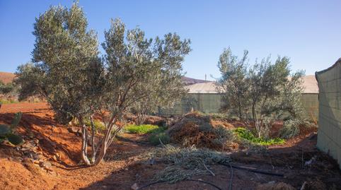 Photo 3 of House or chalet for sale in Calle Polígono 2 Paraje 182 Tablero la Pileta, 116, Päjara pueblo, Las Palmas