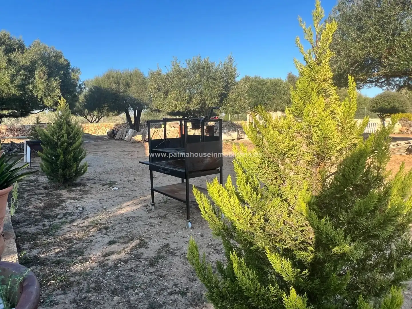 Terreny residencial en venda a Maria de la Salut, imagen 12