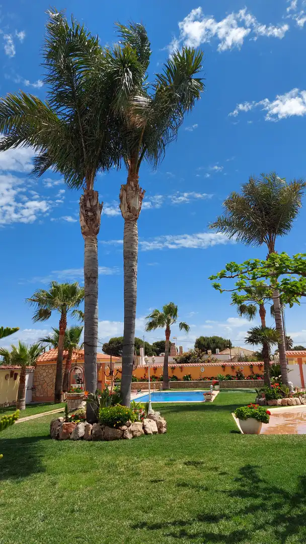Vista exterior de Casa o chalet en venta en Benicarló con Jardín privado, Piscina y Amueblado
