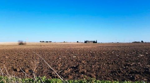 Foto 2 de Terreny en venda a Callejón de Los Llanos, 27a, Los Franceses – La Vega, Cádiz