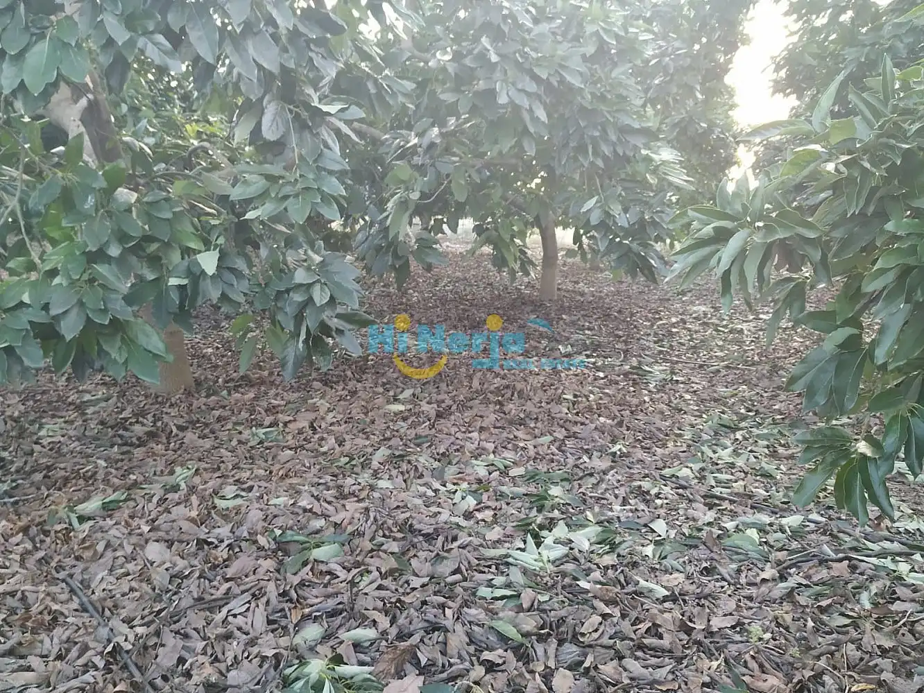 Terreni e lotti in vendita a Centro, imagen 6