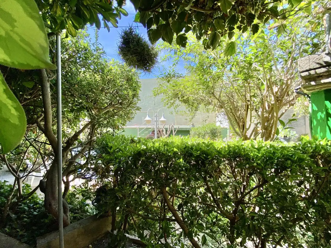 Garten von Haus oder Chalet zum Verkauf in  Palma de Mallorca mit Privatgarten, Terrasse und Abstellraum