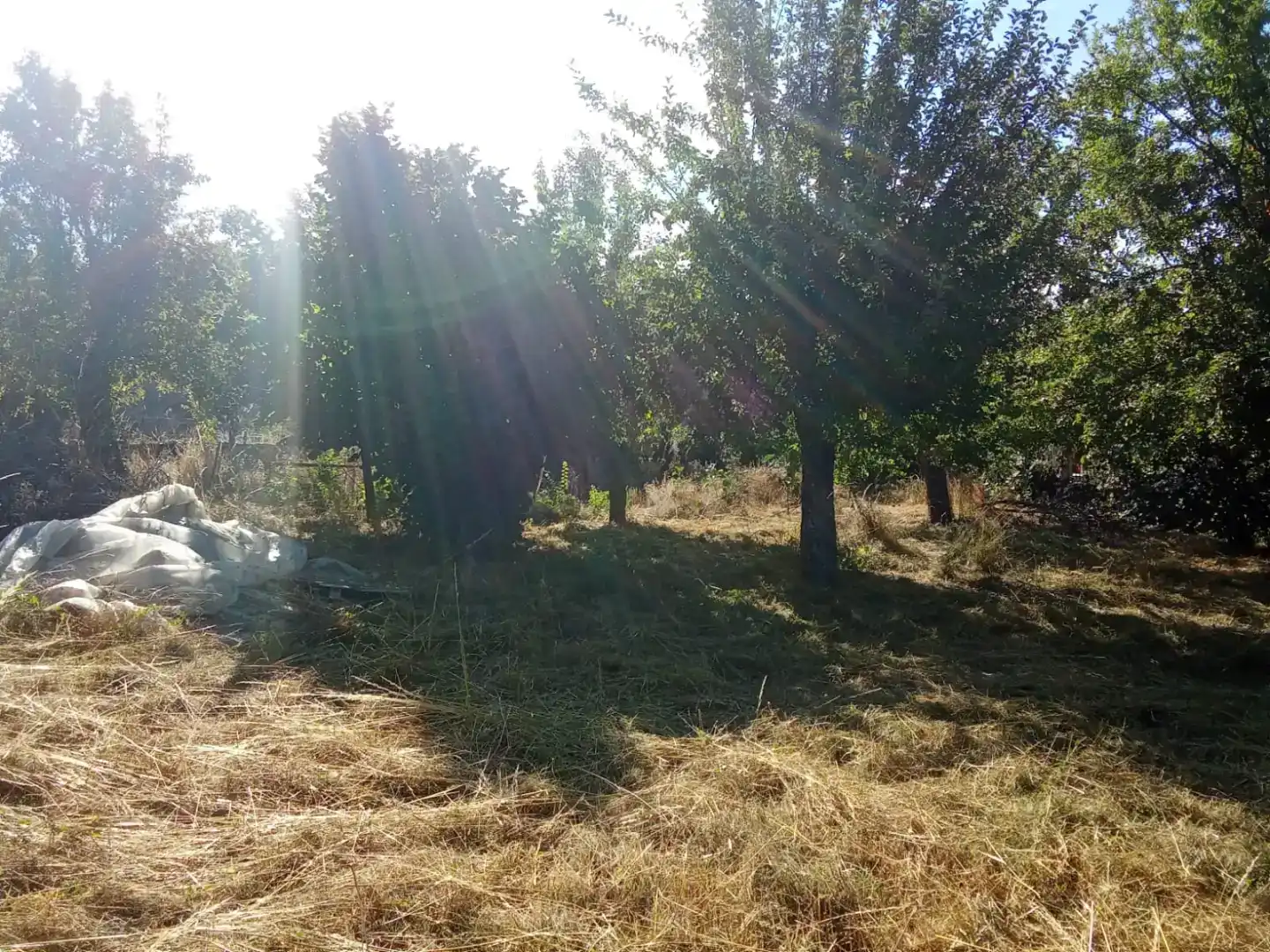 Casa adosada en venda en San Justo amb Jardí privat, Traster i Moblat