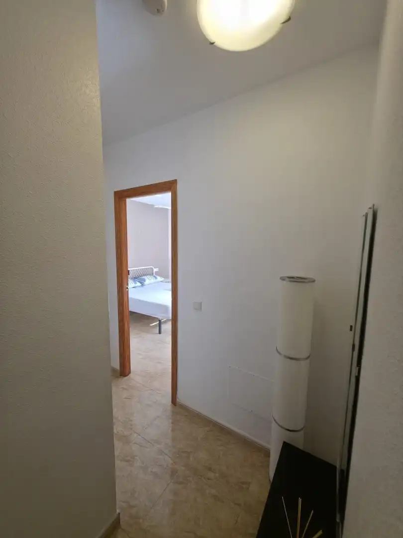 Pis de lloguer a Centro