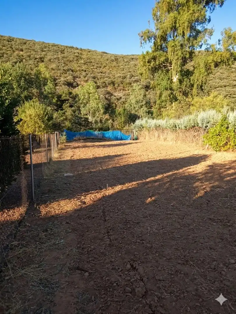 Casa o xalet en venda en Piedrabuena amb Calefacció, Jardí privat i Terrassa
