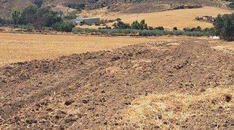 Foto 3 de Finca rústica en venda a Zona de la Vega, Antequera