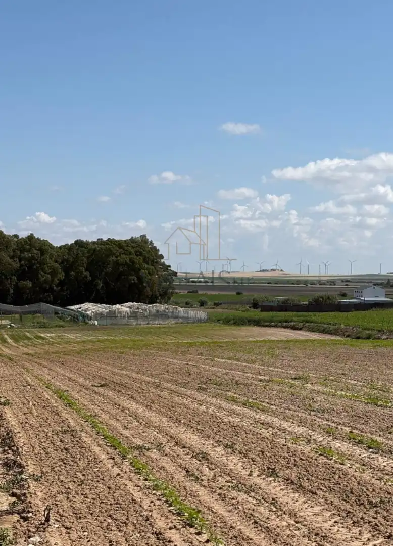 Terreno rústico en venta en Norte - Blanca Paloma, imagen 3