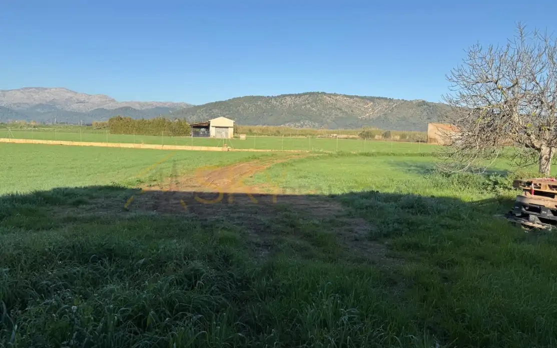 Maison rustique à vendre à Sa Pobla, imagen 7
