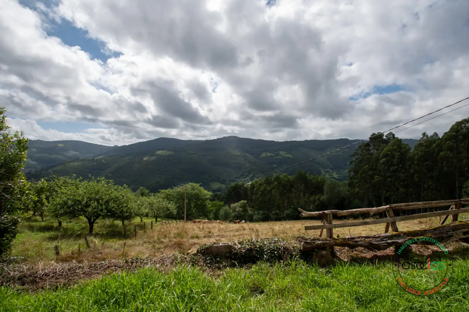 Casa o xalet en venda en Villaviciosa amb Jardí privat i Traster