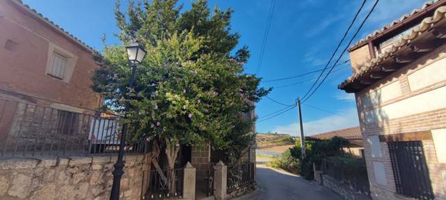 Finca rústica en Venta en Alarilla