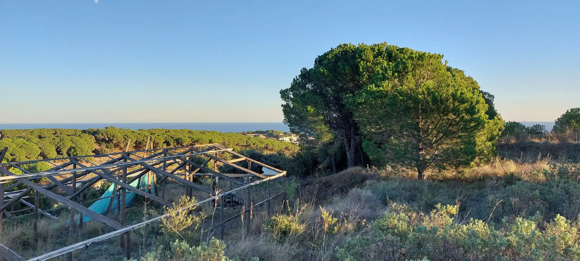 Rural land for sale in Calella, imagen 13