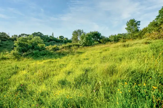 Land for sale in Jaca