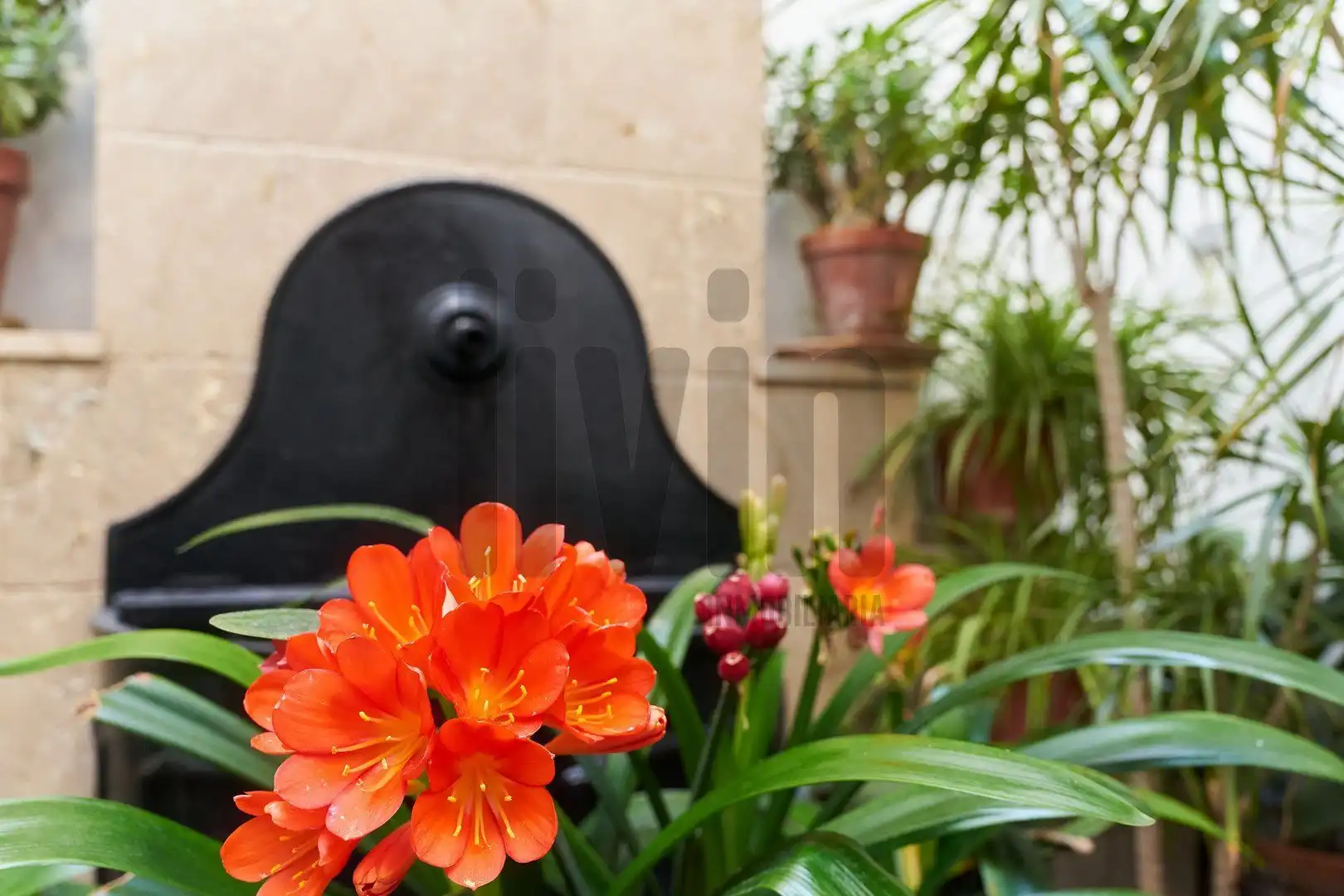 Jardín de Casa o chalet en venta en Jaén con Aire acondicionado, Calefacción y Terraza