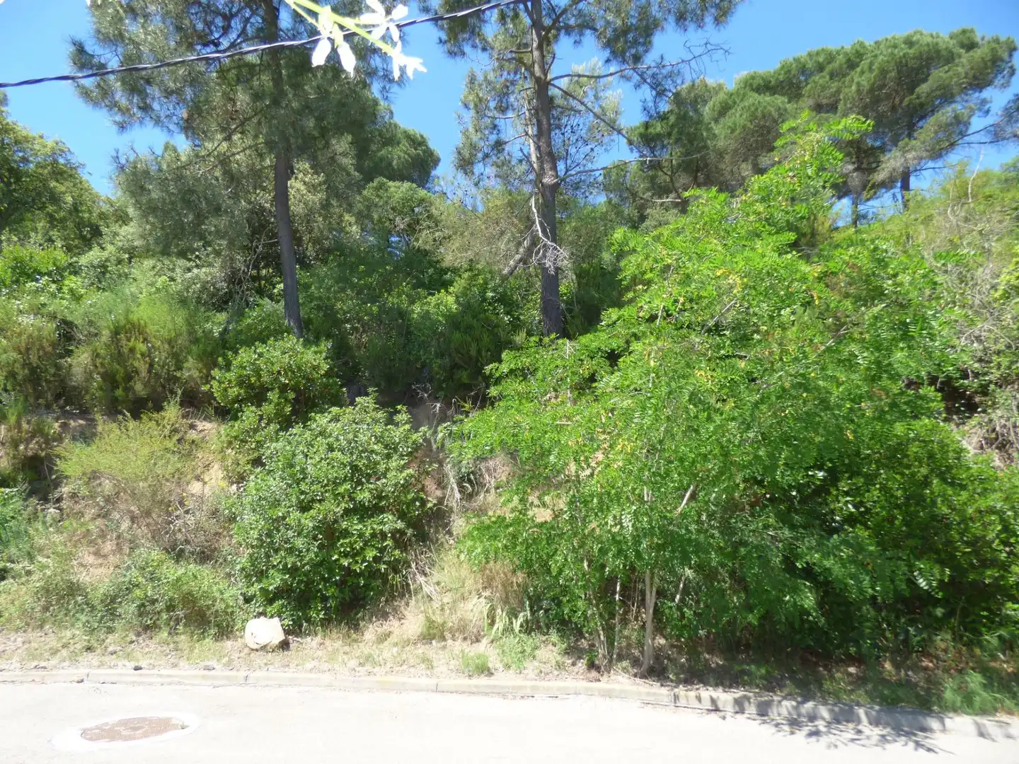 Residential land for sale in Palafolls, imagen 12