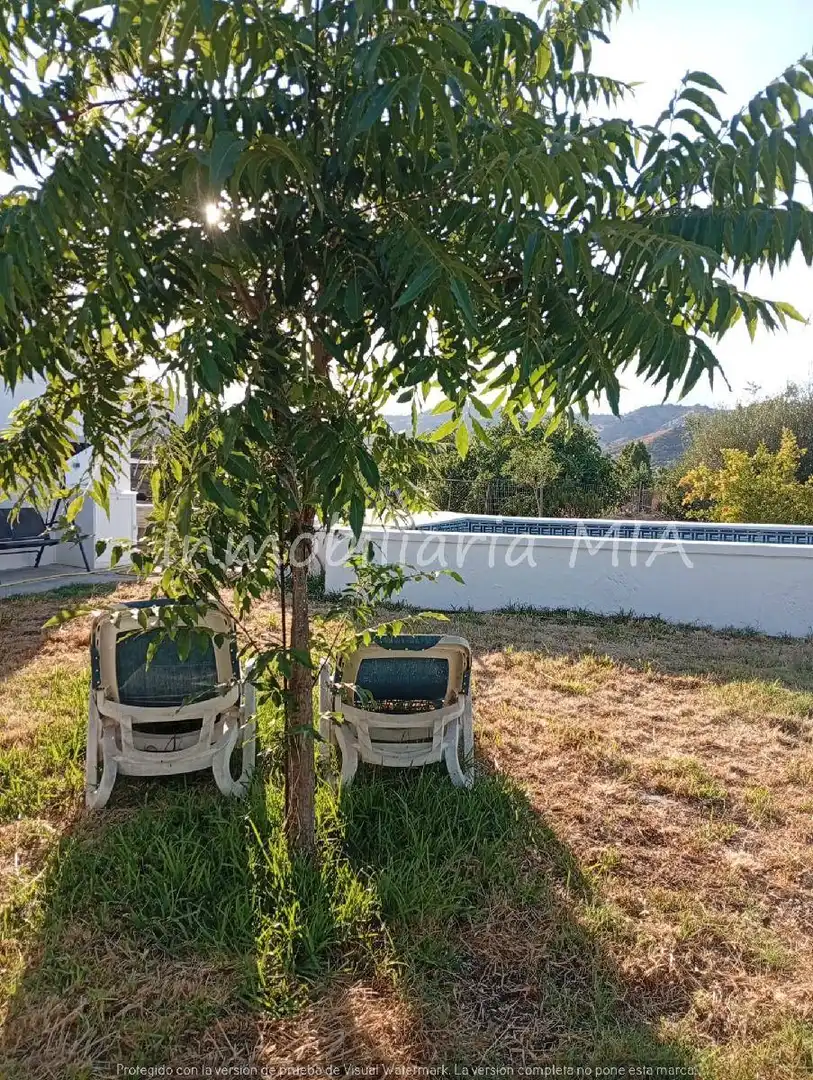 Piscina de Casa o xalet en venda en Coín