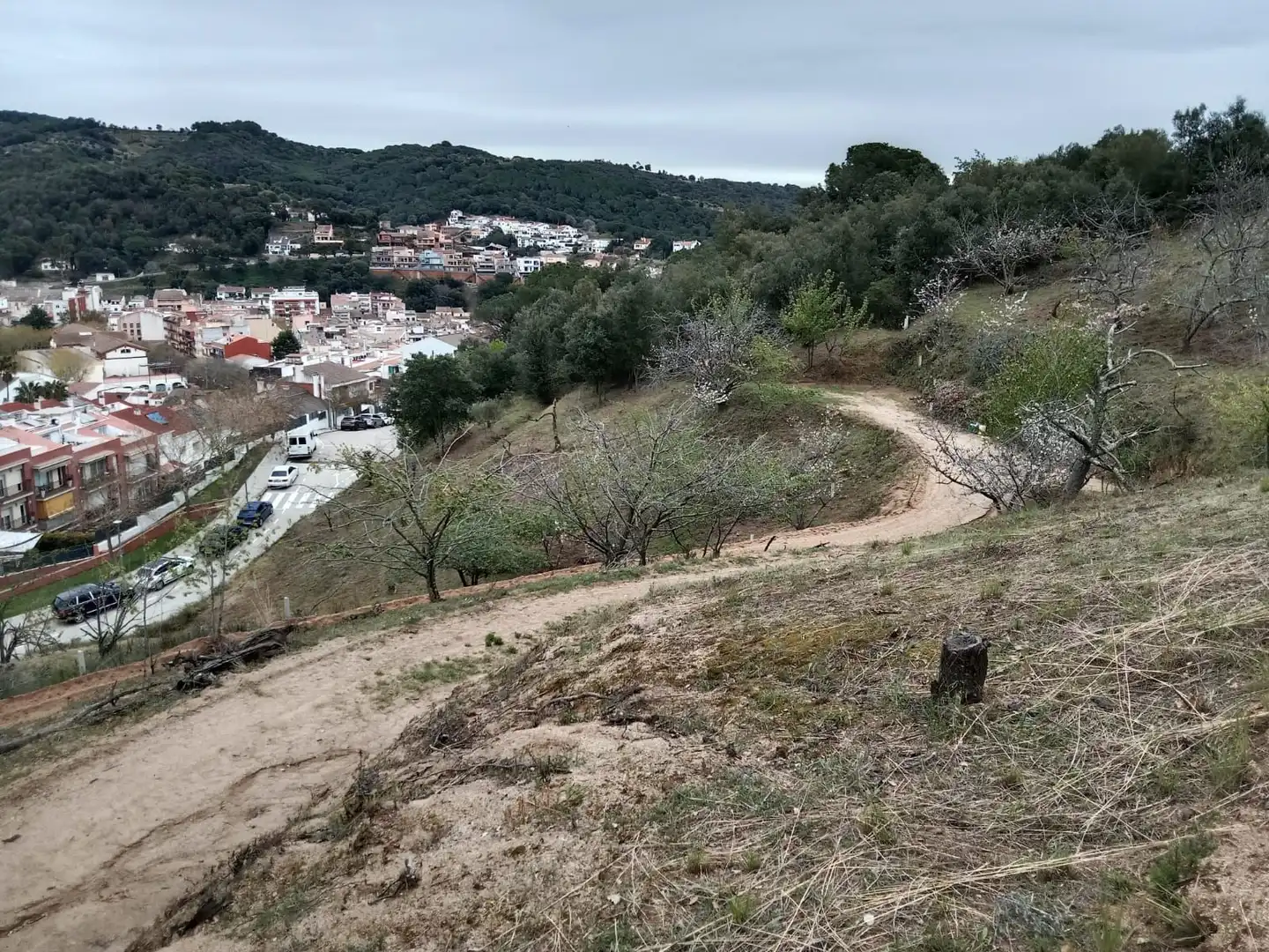 Exterior view of Land for sale in Arenys de Munt