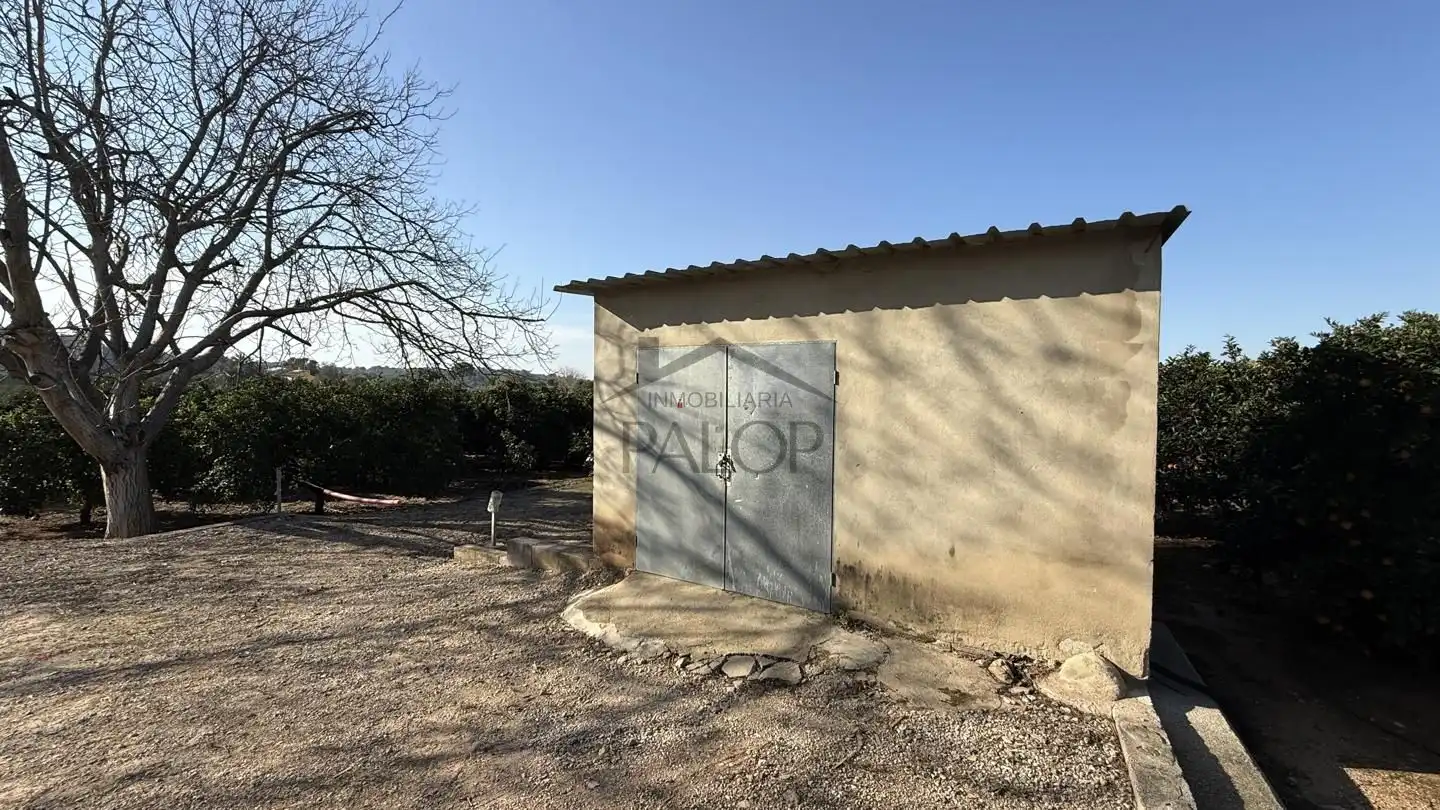 Terrenys i solars en venda a Carcaixent