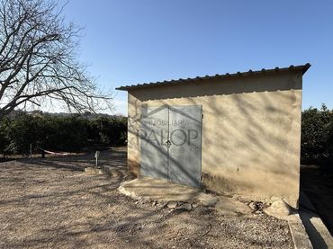 Terrenys i solars en venda a Carcaixent