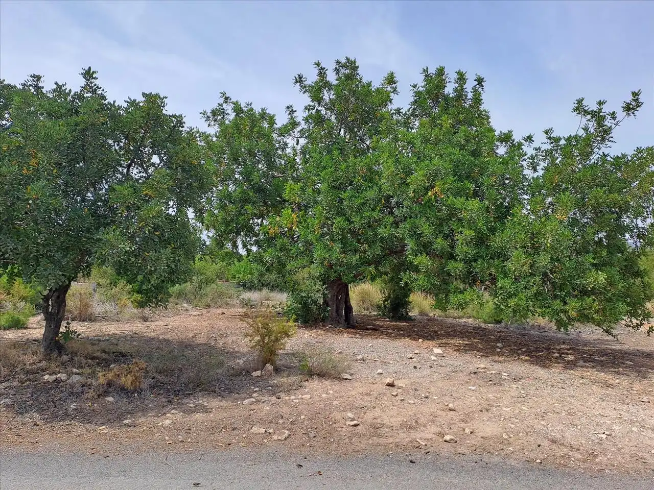 Terreno residenziale in vendita a Poligono N-30.R, imagen 3