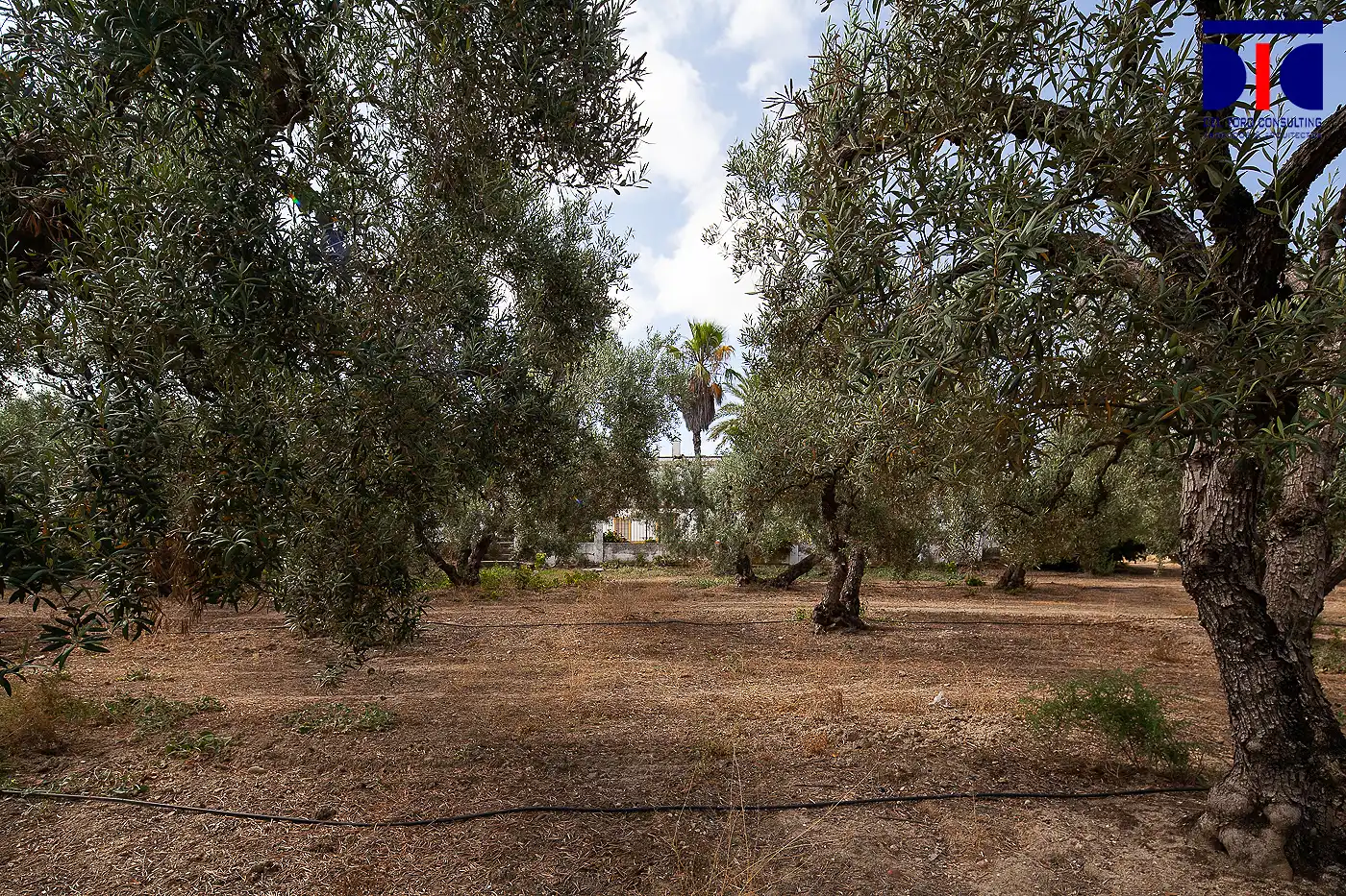 Finca rústica en venta en Carmona con Jardín privado, Terraza y Piscina