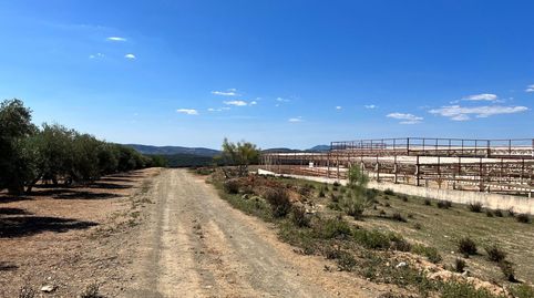 SUELO INDUSTRIAL POLIGONO CUESTA LA PALMA, imatge 5
