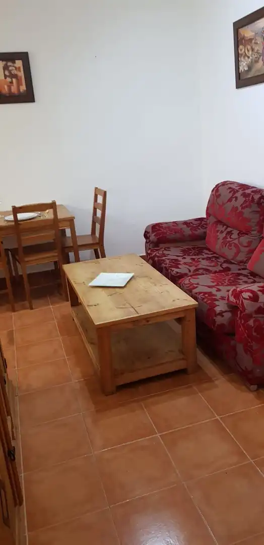 Sala de estar de Apartamento de alquiler en Málaga con Amueblado y Lavadora