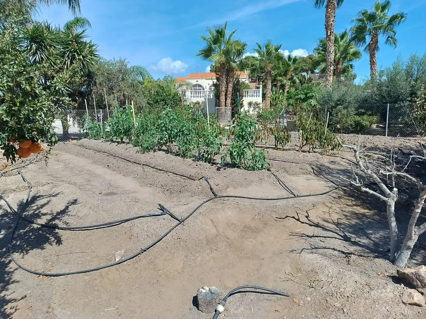 Xalet amb terrassa en venda a Tébar - Los Arejos, imagen 58