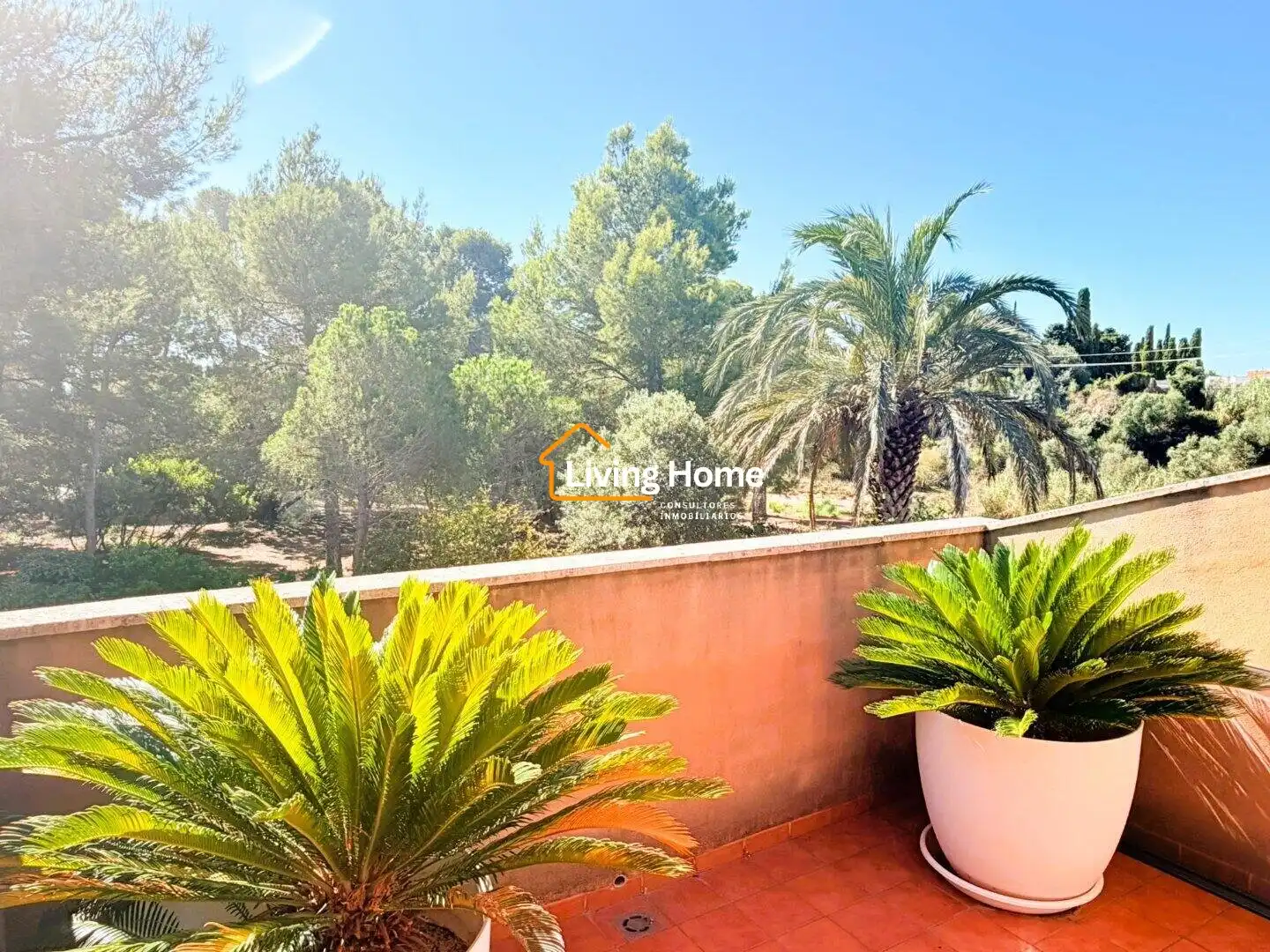 Casa aparellada amb piscina en venda a Carrer de Paul Cézanne, imagen 27