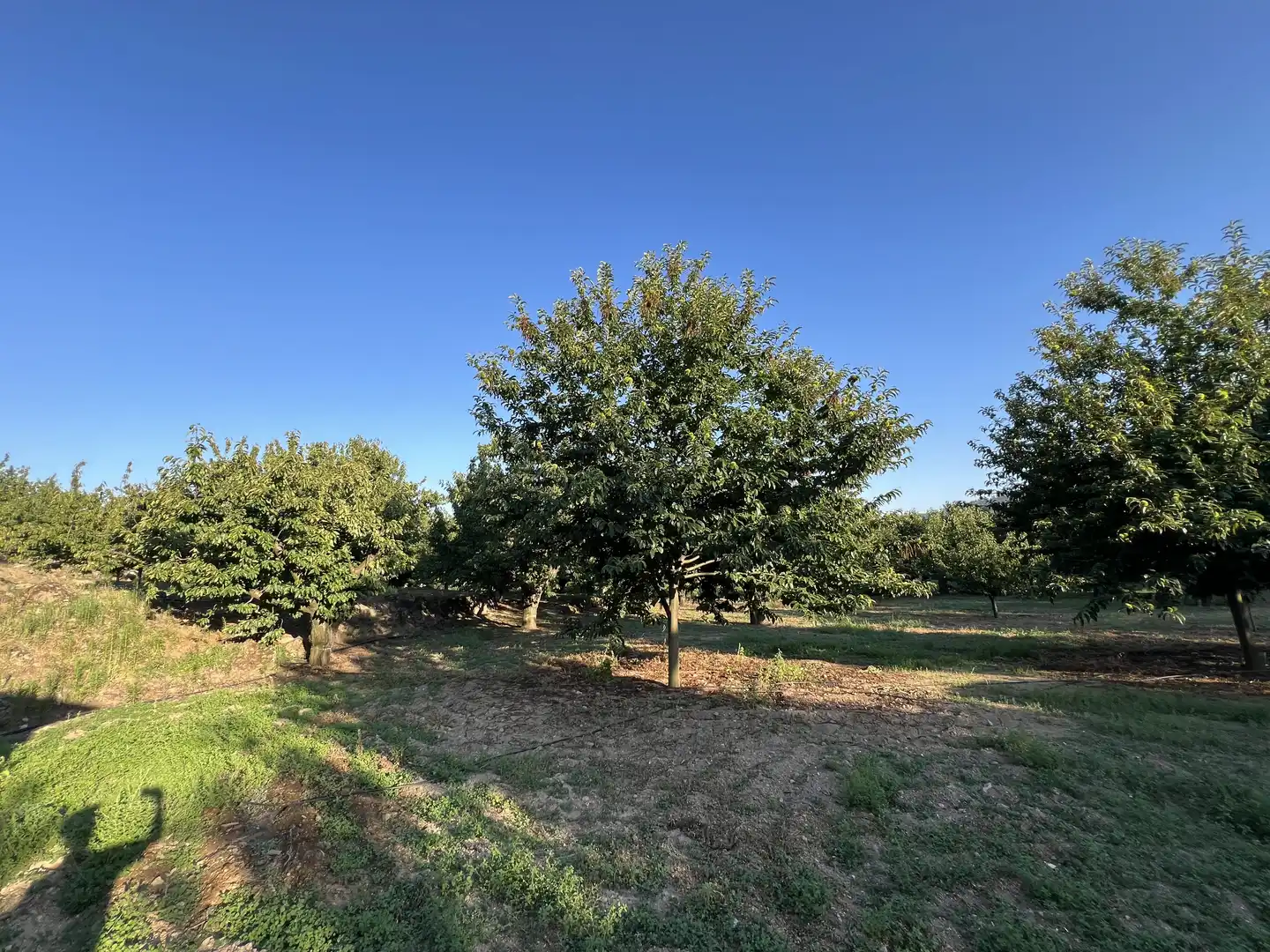 Terreni e lotti in vendita a Garganta la Olla, imagen 7