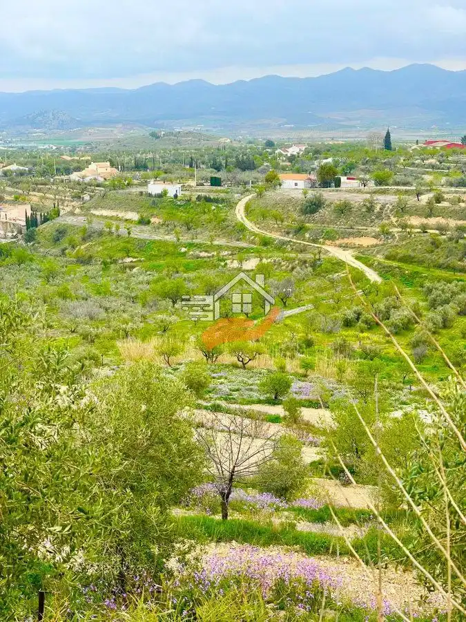 Casa o chalet en venta en Vélez-Blanco con Terraza y Piscina