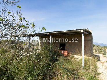 Terrenos y solares en venta en Camino del Camp des Pi