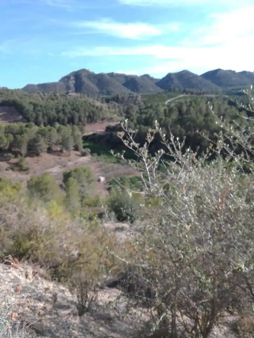 Residential for sale in Barxeta