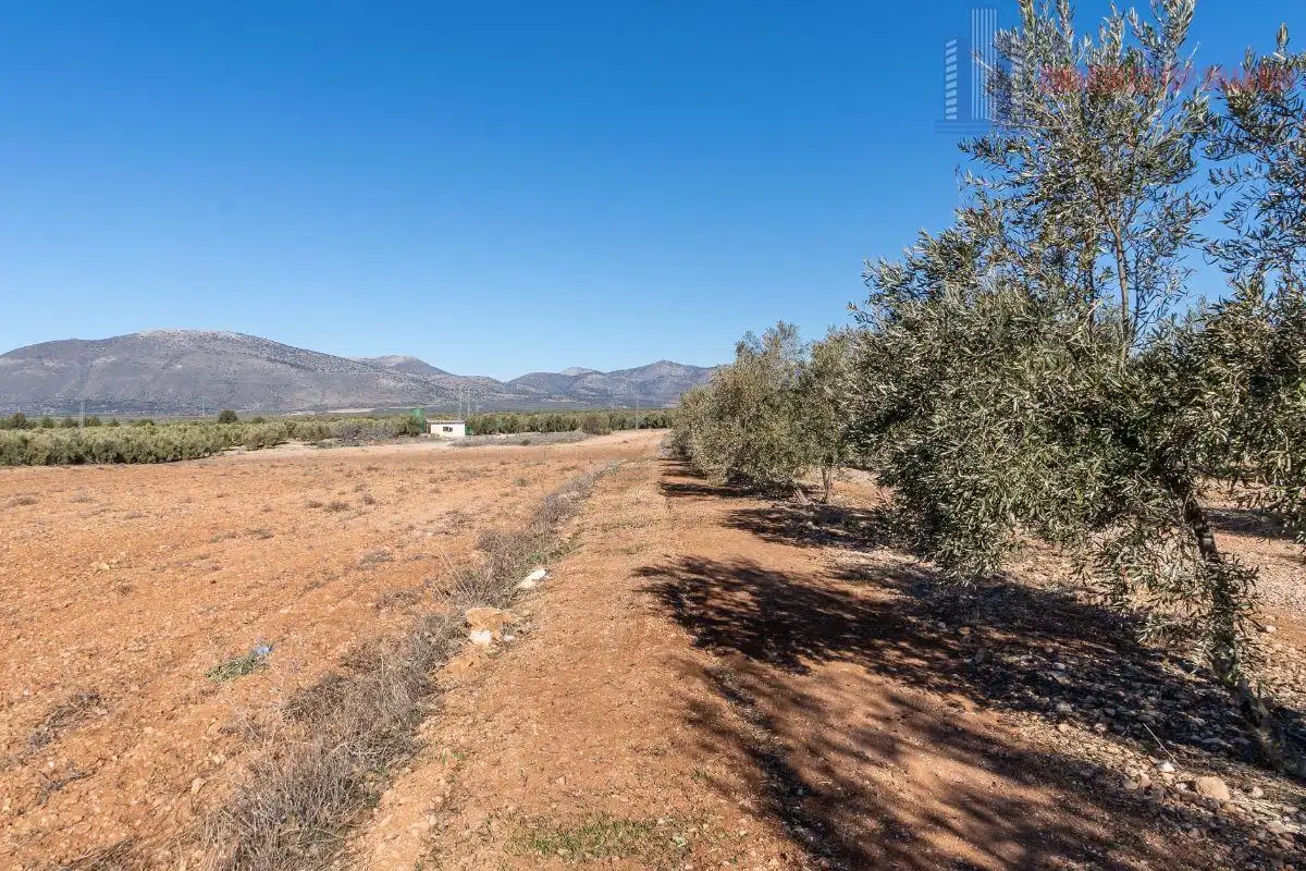 Terreni e lotti in vendita a Pago cortijo de las Monjas Parcela 19, imagen 25