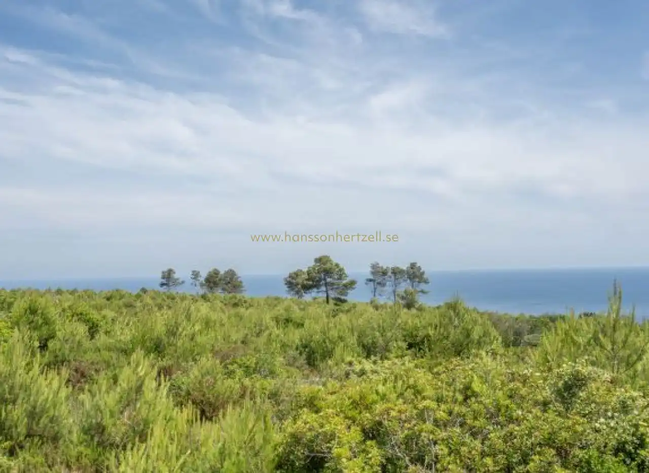 Apartments for sale in Jávea / Xàbia