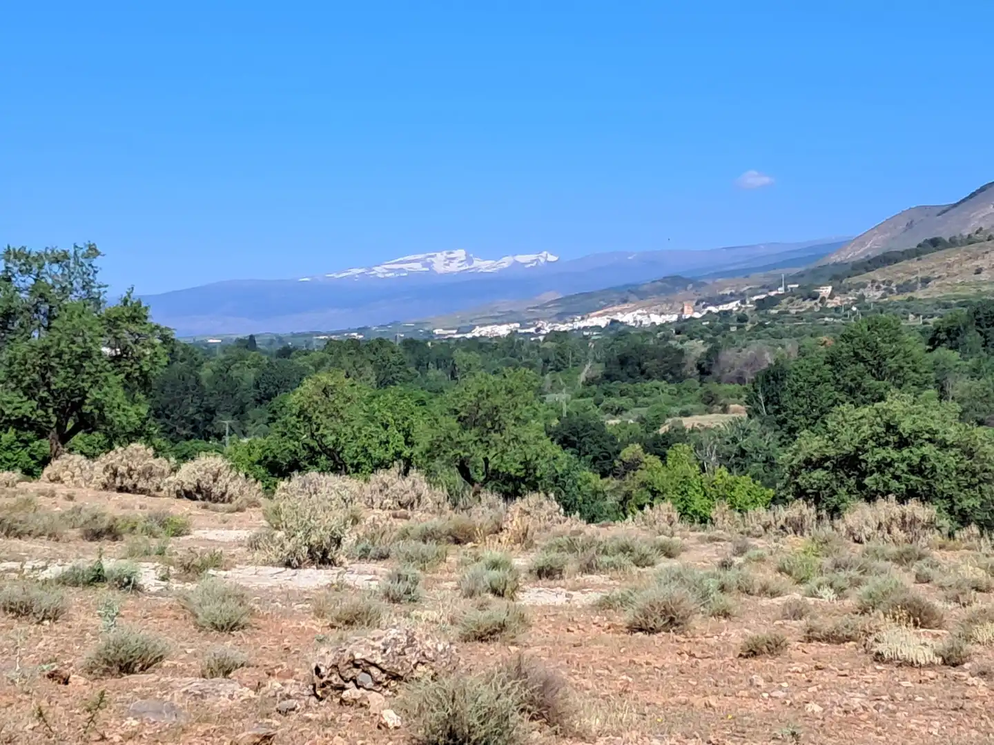 Country house for sale in Fondón, imagen 18