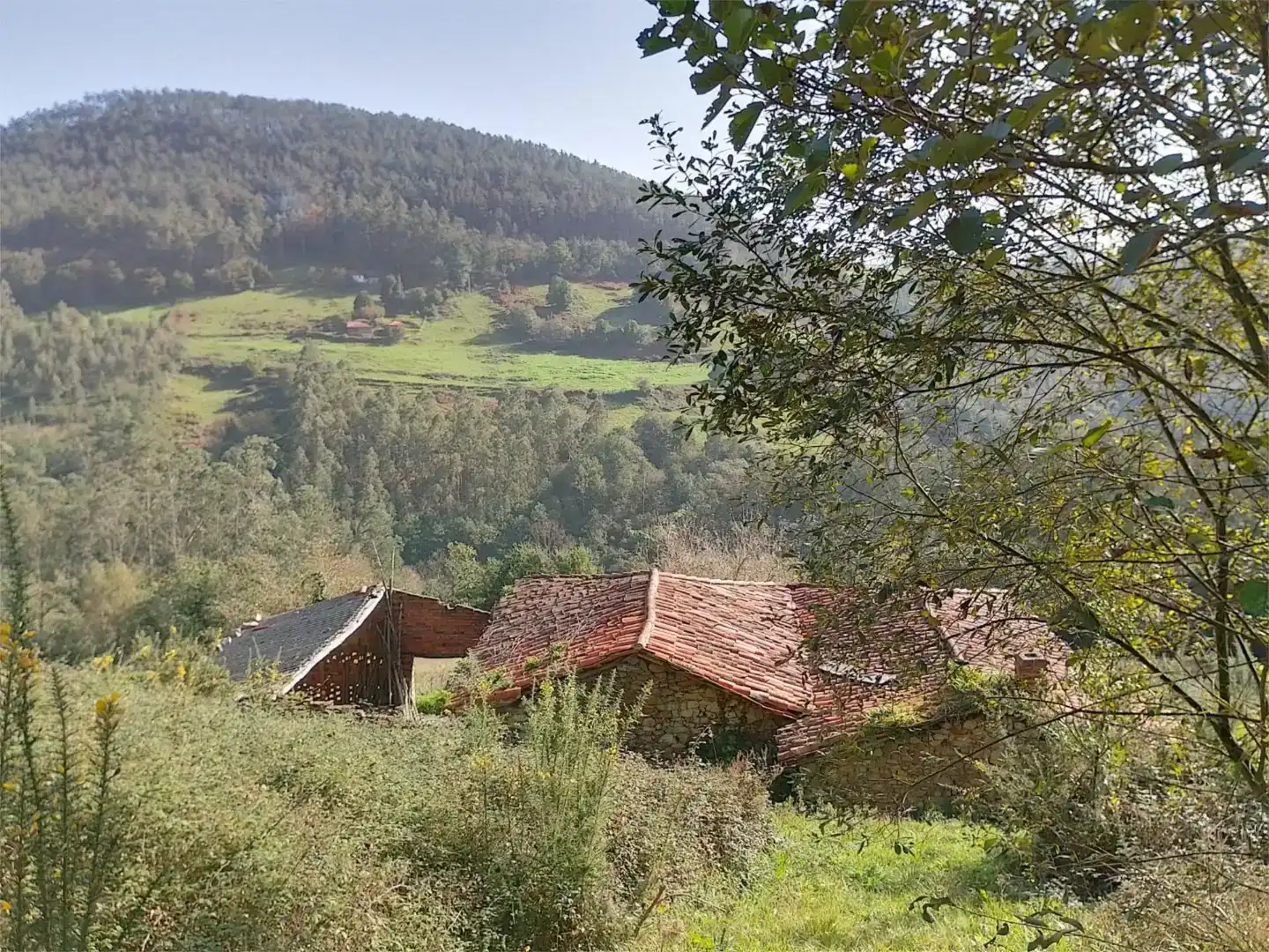 Vista exterior de Casa o xalet en venda en Salas