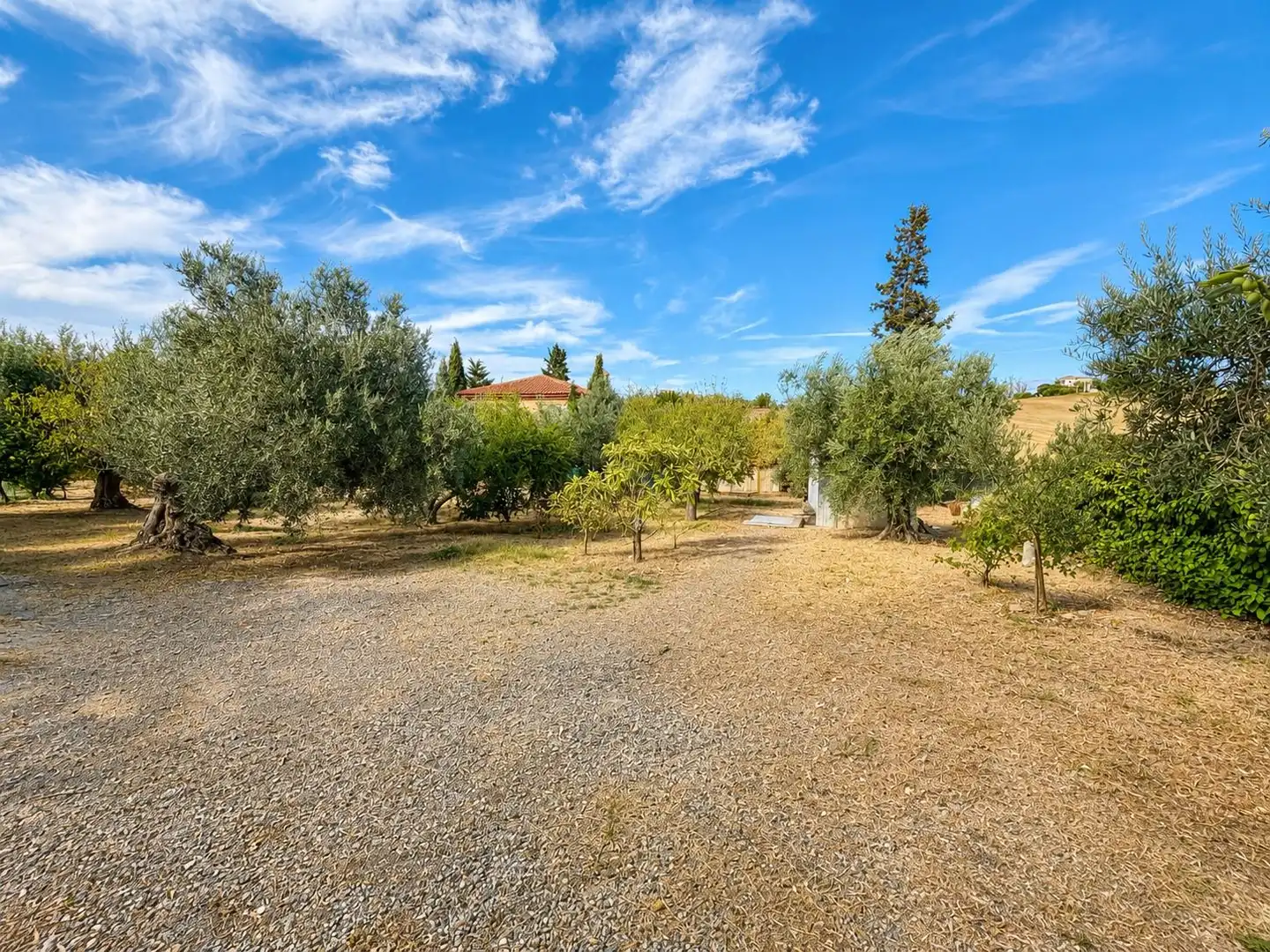 Finca rústica en venda en Las Gabias amb Jardí privat, Terrassa i Traster