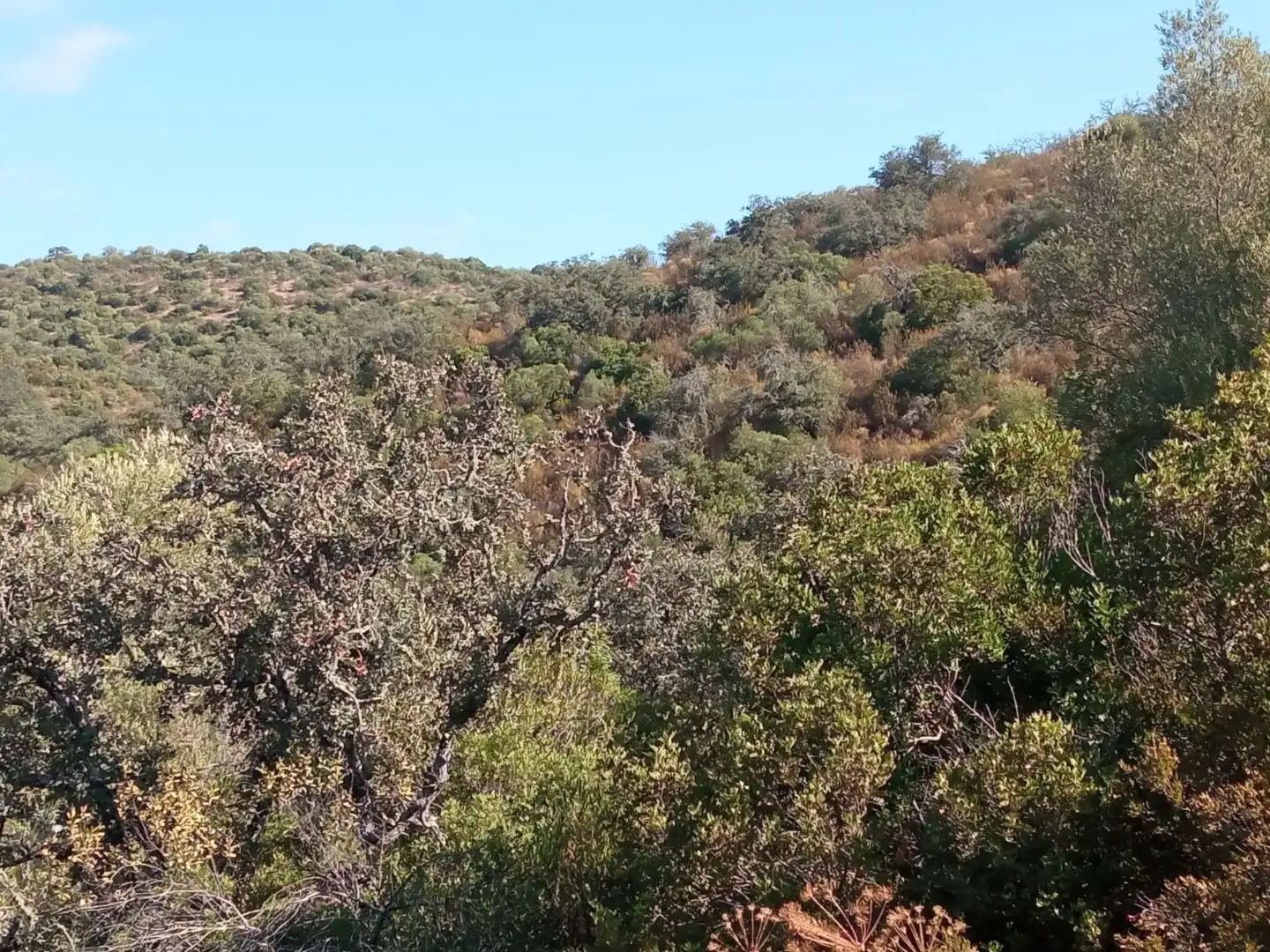 Terreno en venta en Córdoba