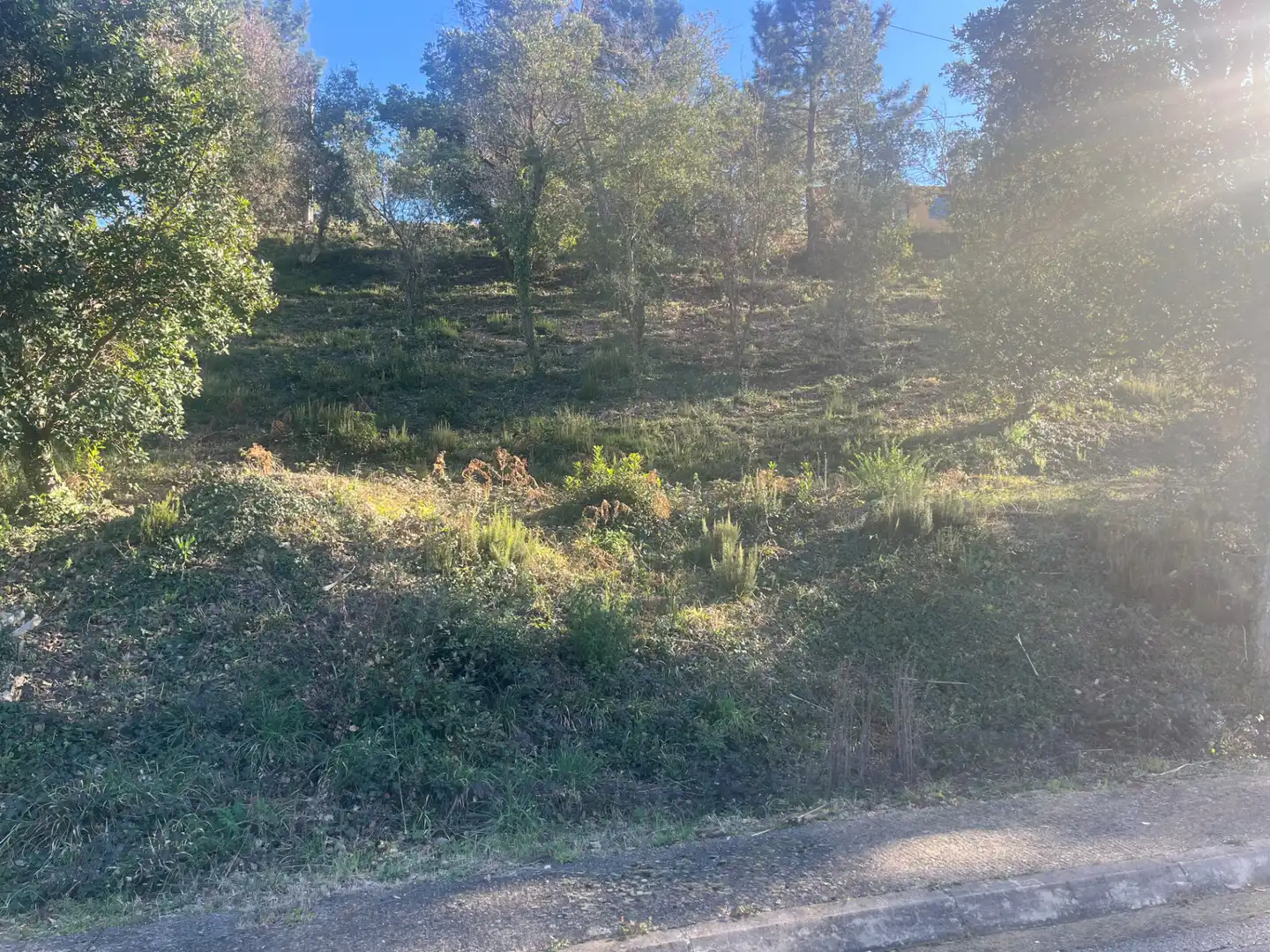 Residencial en venda en Bescanó