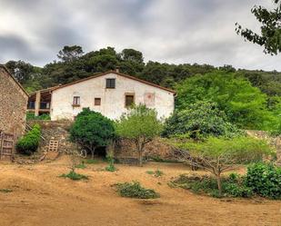 Vista exterior de Finca rústica en venda en Pineda de Mar amb Terrassa