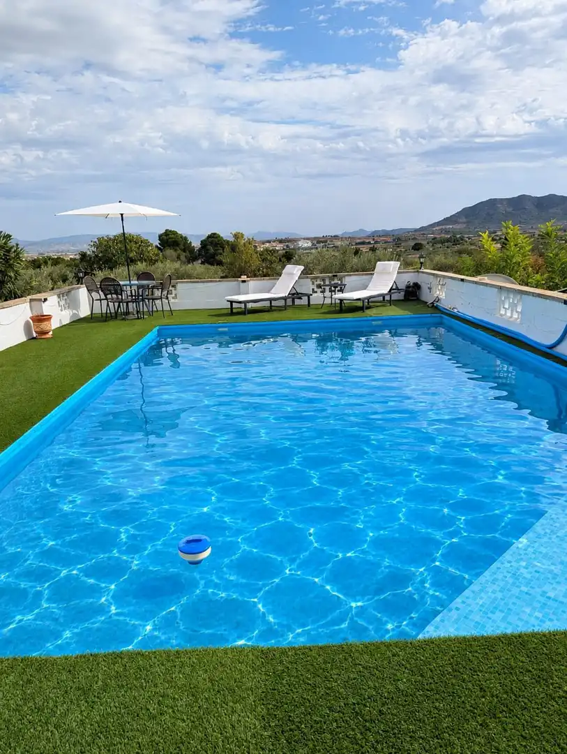 Swimming pool of Houses for sale in Caudete, Albacete