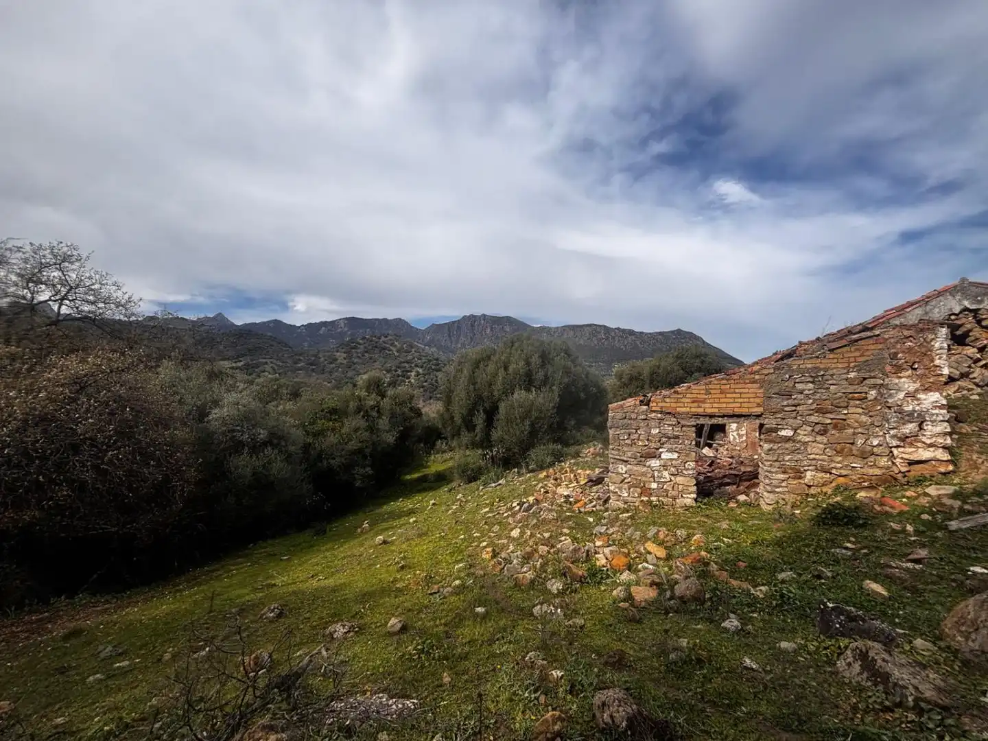 Terrenys i solars en venda a Grazalema, imagen 6