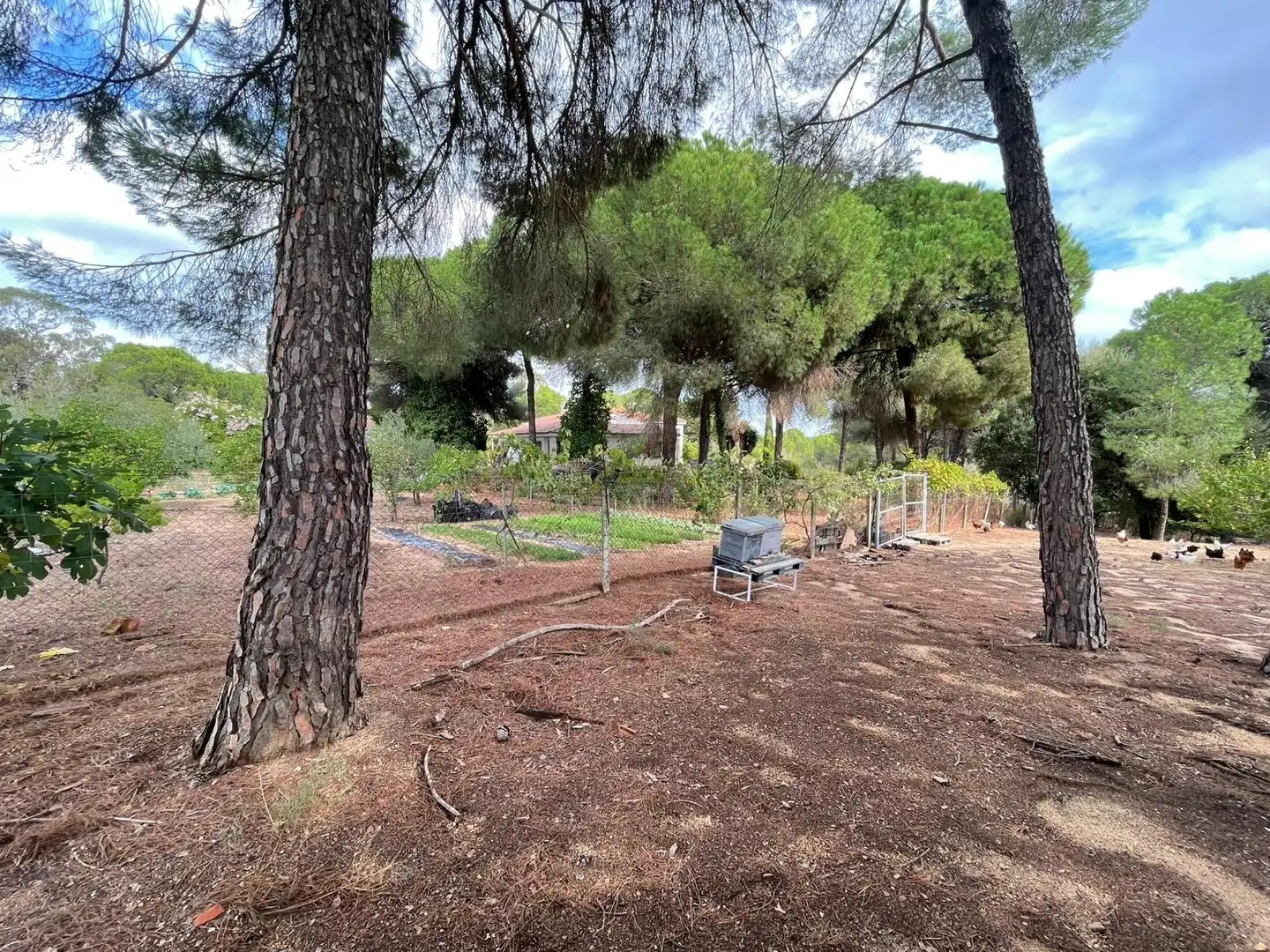 Casa en venda a Beas, imagen 19