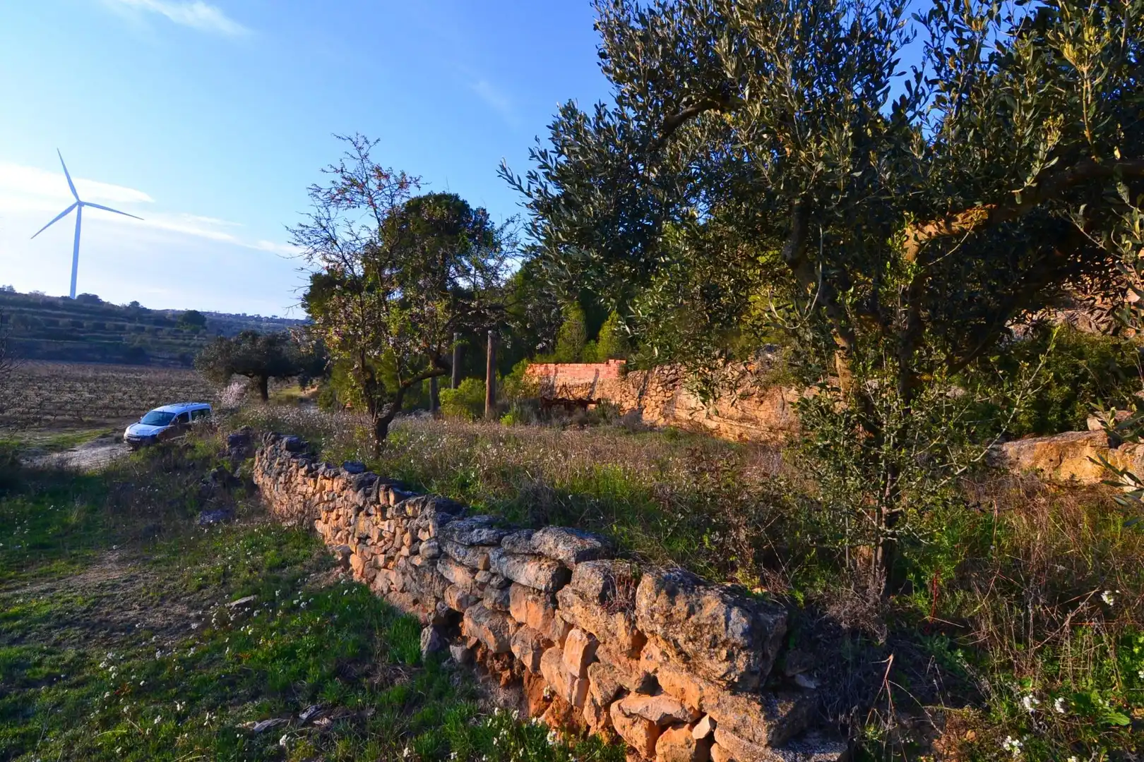 Rural land for sale in Corbera d'Ebre, imagen 75