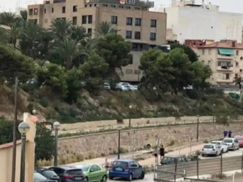 Exterior view of Flat for share in Elche ciudad