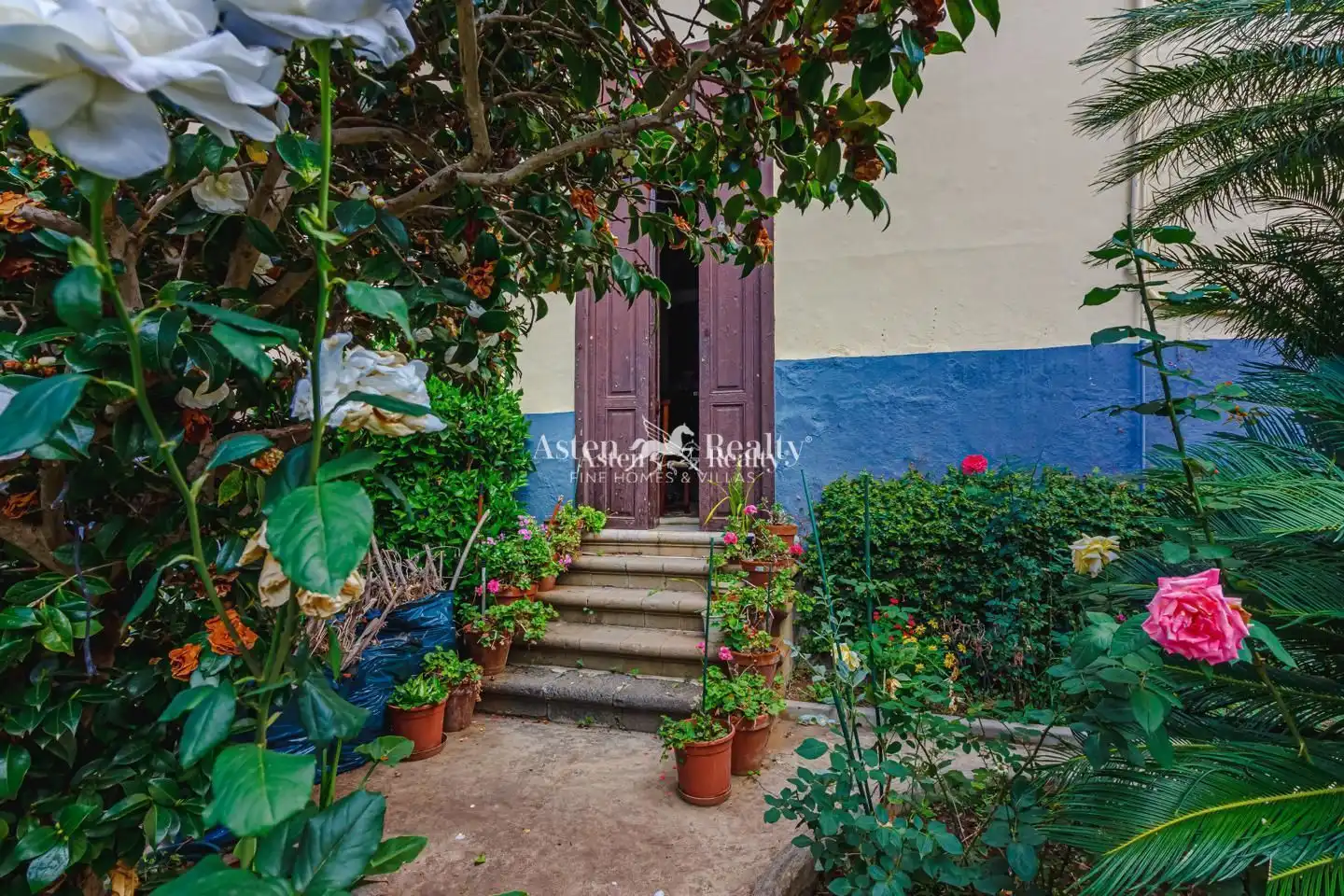 Garden of Houses for sale in La Orotava